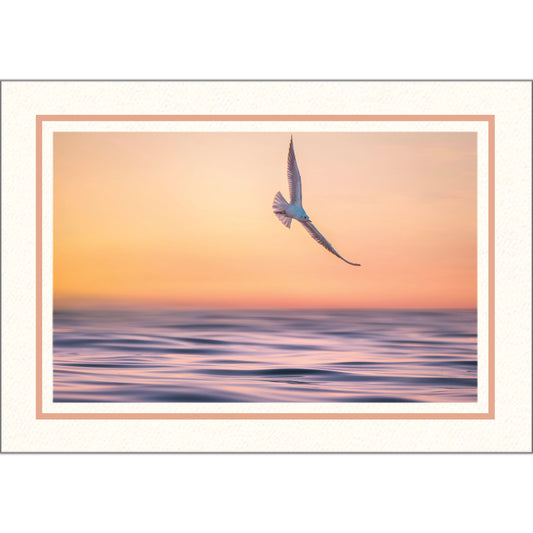 1609PT - Bright White, Cantaloupe Pastel Border, Blank Back, set of 10 cards