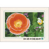1610 - Natural, Live life in full bloom, Horizontal, set of 10 cards