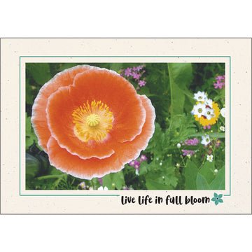 1610 - Natural, Live life in full bloom, Horizontal, set of 10 cards