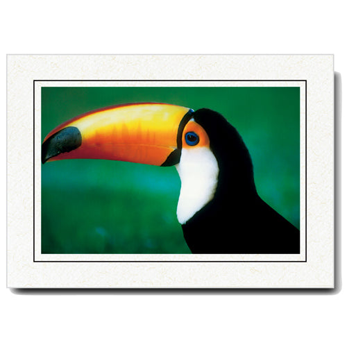 412BK - Natural, Raven Black Border, Horizontal, set of 10 cards