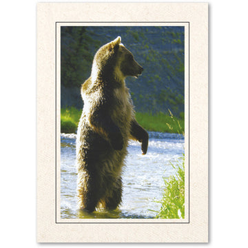 413BK - Natural, Raven Black Border, Vertical, set of 10 cards