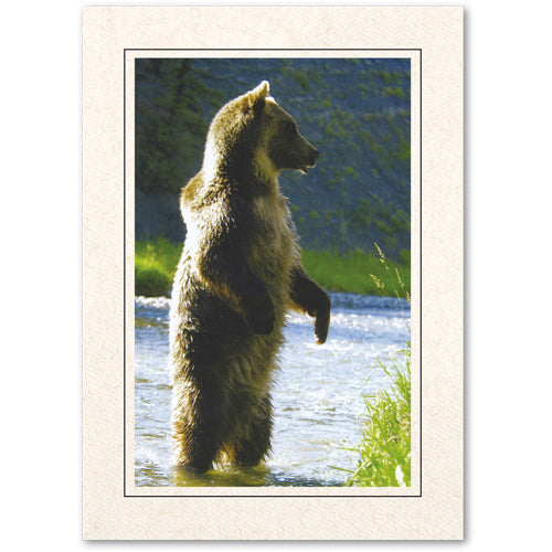 413BK - Natural, Raven Black Border, Vertical, set of 10 cards