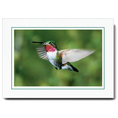 502A - Bright White, Amazon Green Border, Horizontal, set of 10 cards