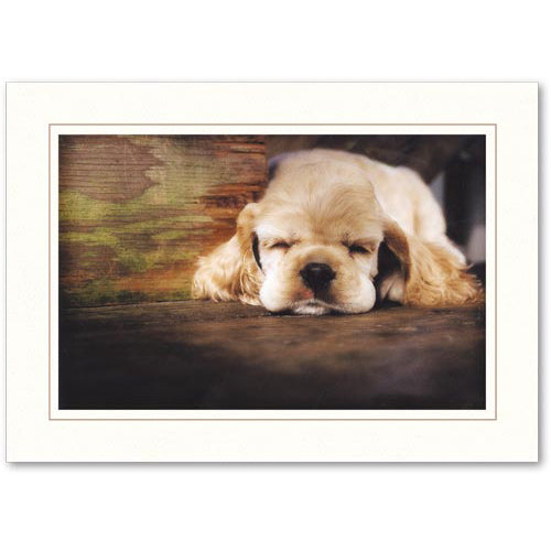 502S - Bright White, Sandstone Border, Horizontal, set of 10 cards