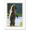 503BK - Bright White, Raven Black Border, Vertical, set of 10 cards