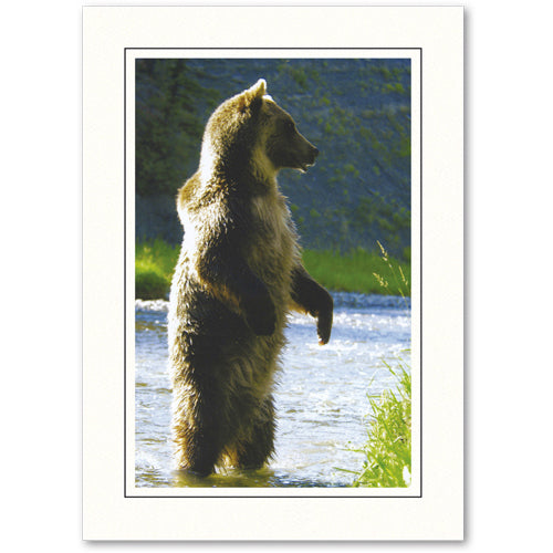 503BK - Bright White, Raven Black Border, Vertical, set of 10 cards