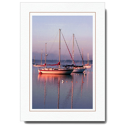 503S - Bright White, Sandstone Border, Vertical, set of 10 cards