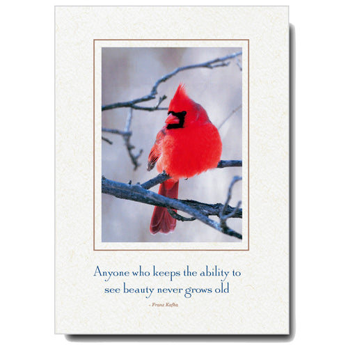 570 - Natural, Small Window, Anyone who keeps..., Vertical, set of 10 cards