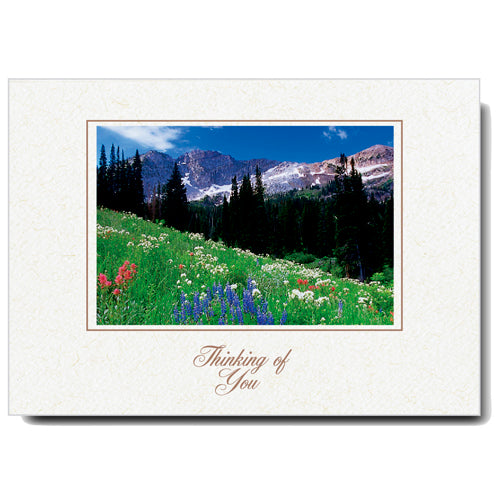 629 - Natural, Small Window, Thinking of you, Horizontal, set of 10 cards