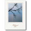630 - Natural, Small Window, Thinking of you, Vertical, set of 10 cards