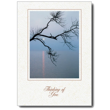 630 - Natural, Small Window, Thinking of you, Vertical, set of 10 cards