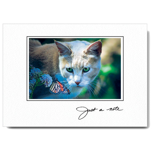 637 - Bright White, Small Window, Just a note, Horizontal, set of 10 cards