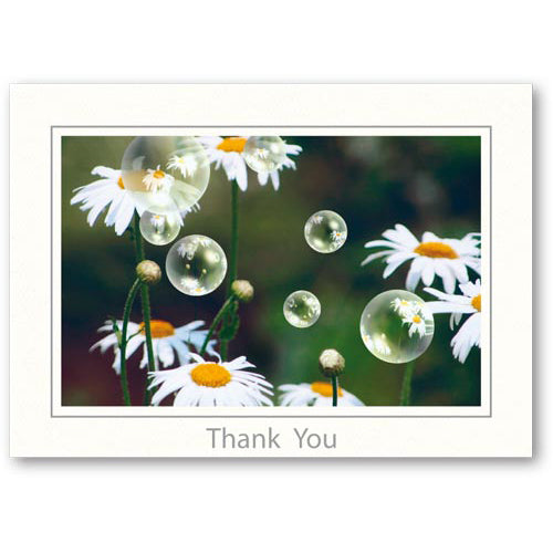 639 - Bright White, Thank You, Horizontal, set of 10 cards