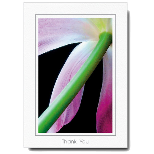 640 - Bright White, Thank You, Vertical, set of 10 cards