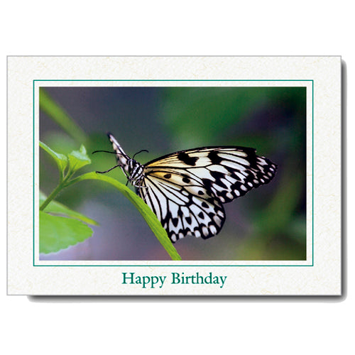 679 - Natural, Happy Birthday, Horizontal, set of 10 cards