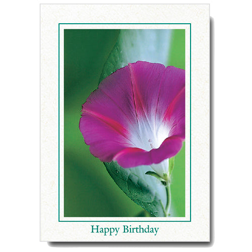 680 - Natural, Happy Birthday, Vertical, set of 10 cards