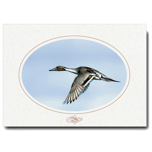 691 - Natural, Oval Window, Scroll Design, Horizontal, set of 10 cards