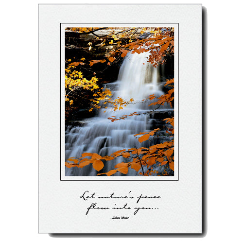 731 - Bright White, Small Window, Let nature's peace..., Vertical, set of 10 cards