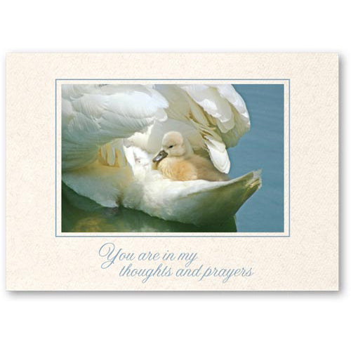 736 - Natural, Small Window, You are in my thoughts..., Horizontal, set of 10 cards
