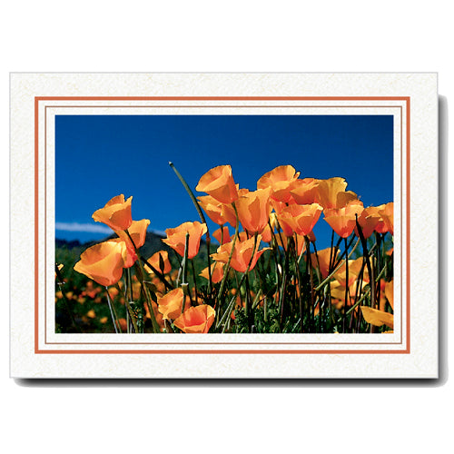 756T-S - Natural, Terracotta & Sandstone Border, Horizontal, set of 10 cards