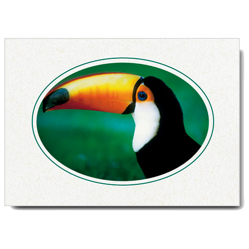 765A - Natural, Oval Window, Amazon Green Border, Blank Back, set of 10 cards