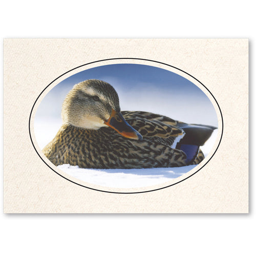 765BK - Natural, Oval Window, Raven Black Border, Blank Back, set of 10 cards