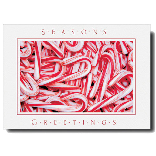 778 - Bright White, Seasons Greetings, Horizontal, set of 10 cards