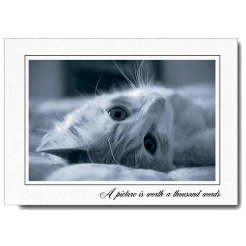 788 - Bright White, A picture is worth..., Horizontal, set of 10 cards