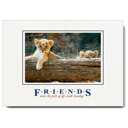 824 - Natural, Small Window, Friends make..., Horizontal, set of 10 cards