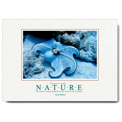 830 - Natural, Small Window, The more I study..., Horizontal, set of 10 cards
