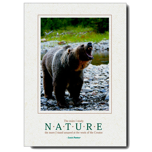 831 - Natural, Small Window, The more I study..., Vertical, set of 10 cards