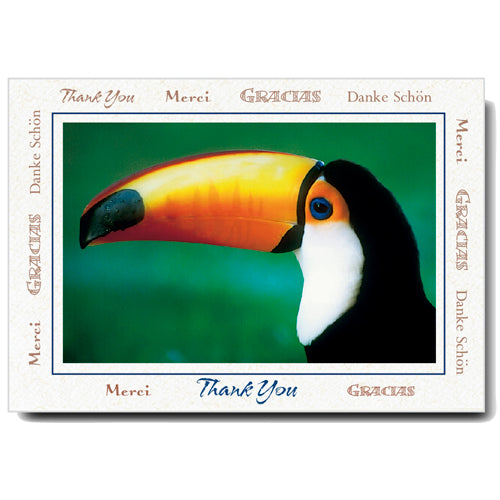 872 - Natural, Thank You, Horizontal, set of 10 cards