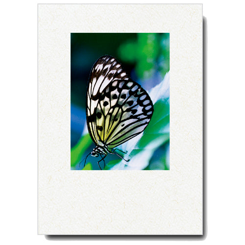 923 - Natural, Small Window, Blank Front, Blank Back, Vertical, Set of 10 Cards