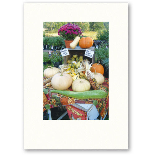 927 - Bright White, Small Window, Blank Front, Blank Back, Vertical, Set of 10 Cards