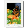 951 - Natural, He has made..., Vertical, set of 10 cards