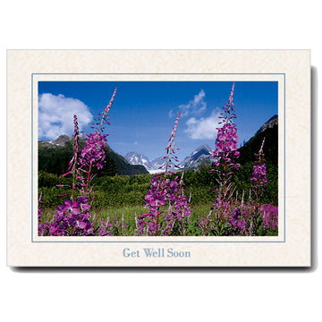 964 - Natural, Get Well Soon, Horizontal, set of 10 cards