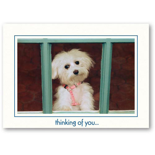 968 - Bright White, thinking of you..., Horizontal, set of 10 cards