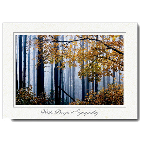 970 - Natural, Deepest Sympathy, Horizontal, set of 10 cards