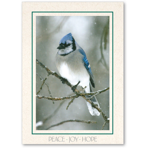 975 - Natural, Peace Joy Hope, Vertical, set of 10 cards