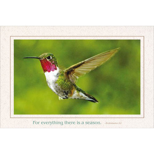 948 - Natural, For everything there is..., Horizontal, set of 10 cards