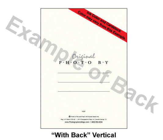 650 - Bright White, Blank Front, Vertical, set of 10 cards