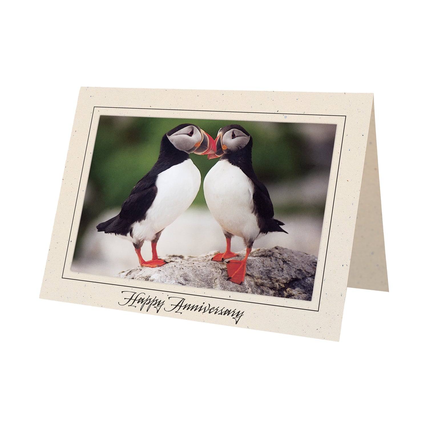 Happy Anniversary Cards