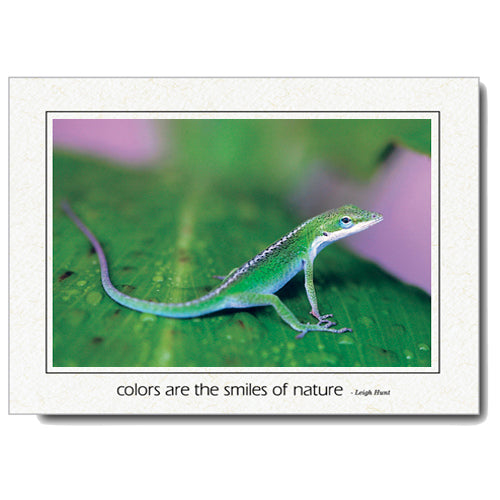 1081 - Natural, Colors are the..., Horizontal, set of 10 cards ...