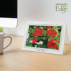 1087 - Bright White, Many Thanks, Horizontal, set of 10 cards