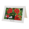 1087 - Bright White, Many Thanks, Horizontal, set of 10 cards