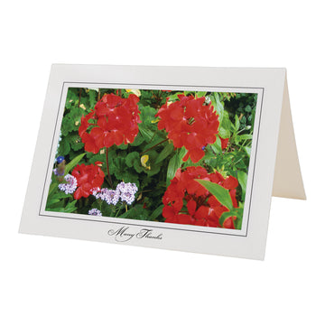 1087 - Bright White, Many Thanks, Horizontal, set of 10 cards
