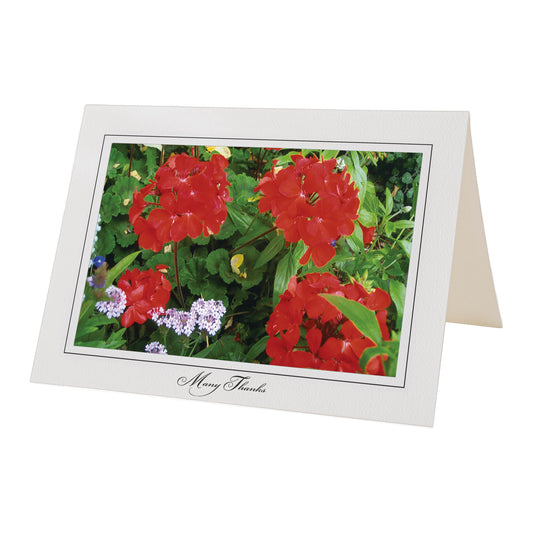 1087 - Bright White, Many Thanks, Horizontal, set of 10 cards