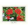 1087 - Bright White, Many Thanks, Horizontal, set of 10 cards