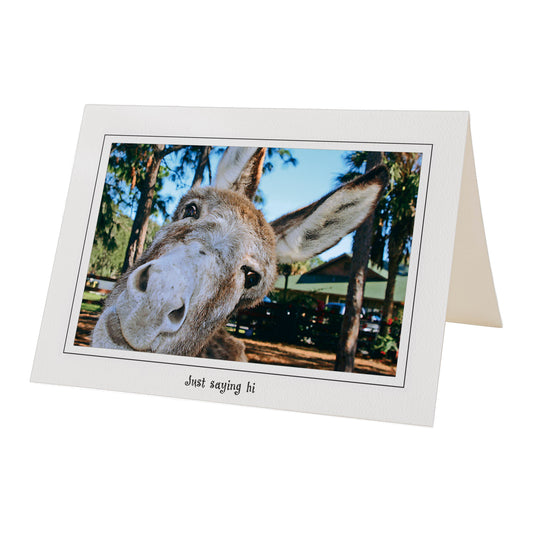 1110 - Bright White, Just saying hi, Horizontal, set of 10 cards