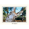 1110 - Bright White, Just saying hi, Horizontal, set of 10 cards